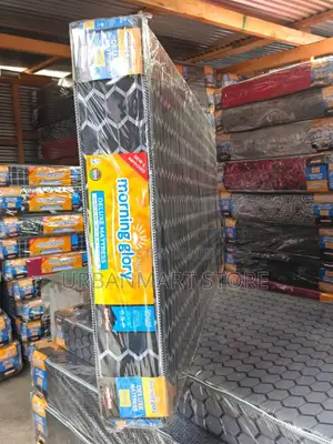 Morning Glory 3x6 Plain 6 Inch Mattress at 3600
