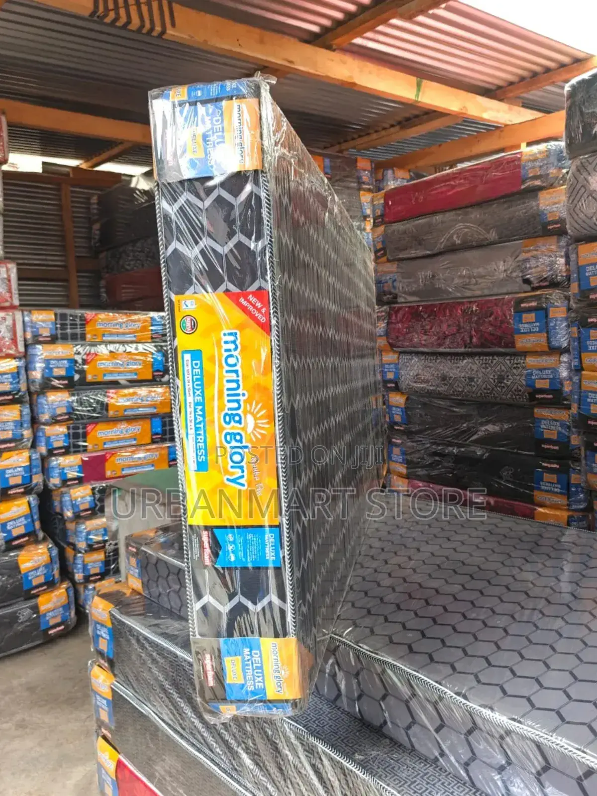 Morning Glory 3x6 Plain 6 Inch Mattress at 3600
