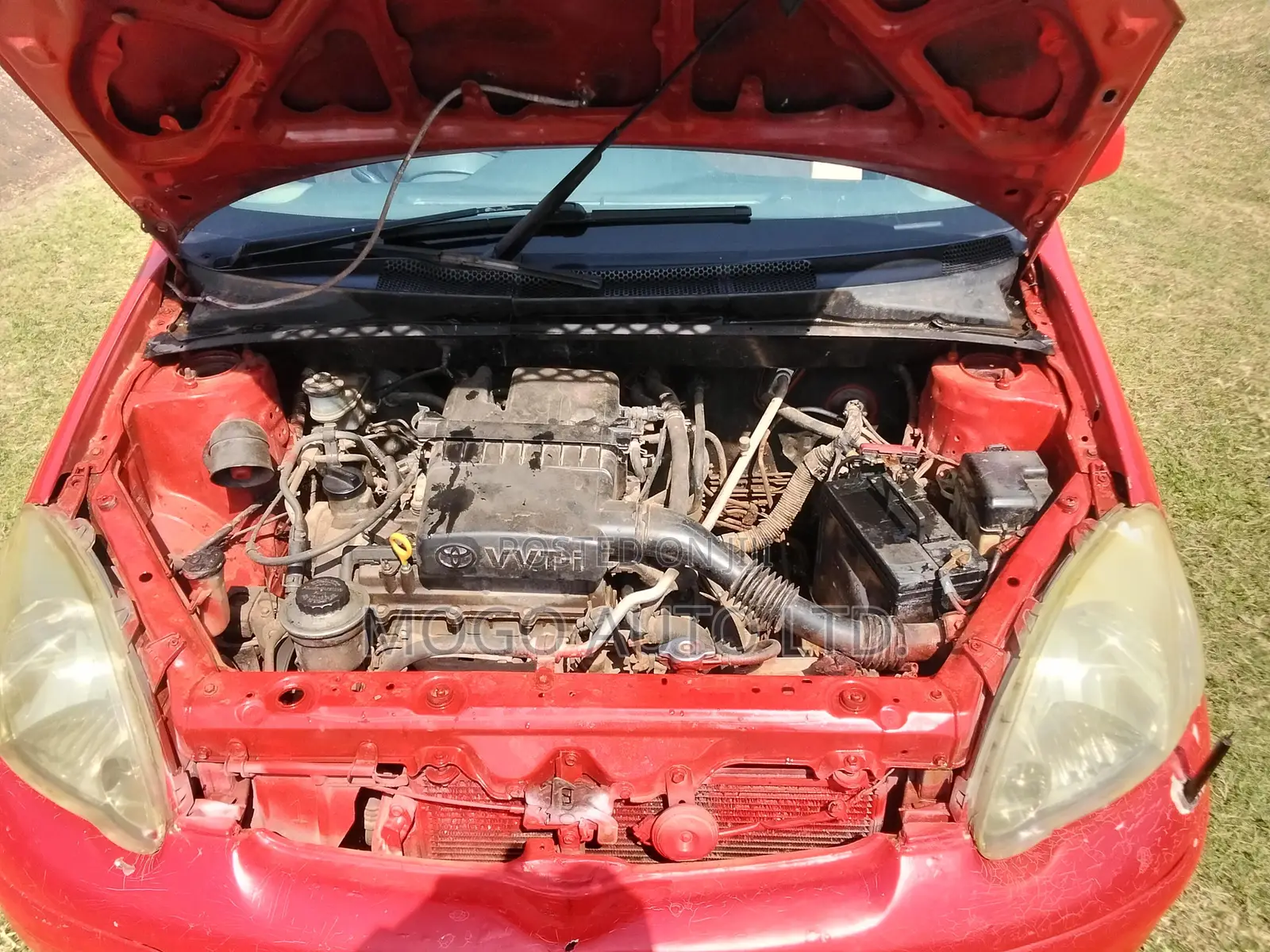 Toyota Vitz 2003 Red