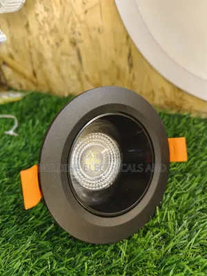 Downlighter Black Cob