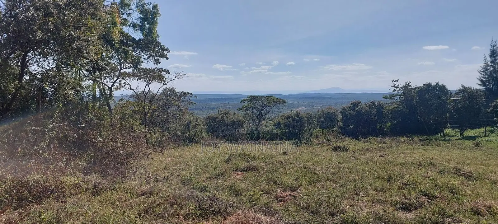 Prime 1/4 Acre View Plot for Sale on Baboon Crescent, Kibiko