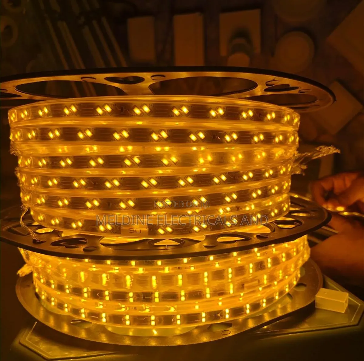 Snake Light Yellow Gold Colour