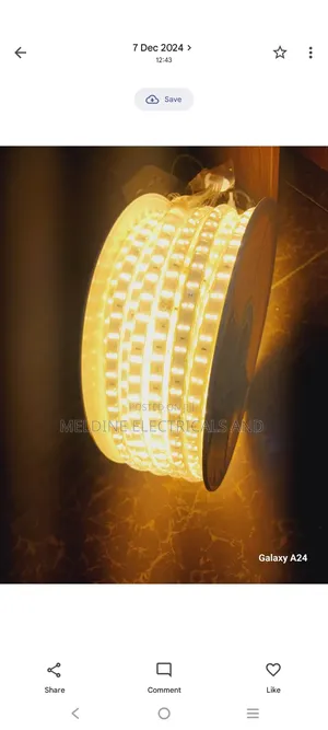 Snake Light Yellow Gold Colour