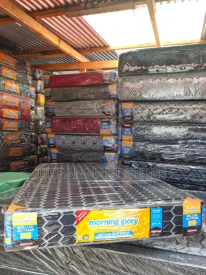 Morning Glory 3 by 6 Comfortable Mattress,6 Inches