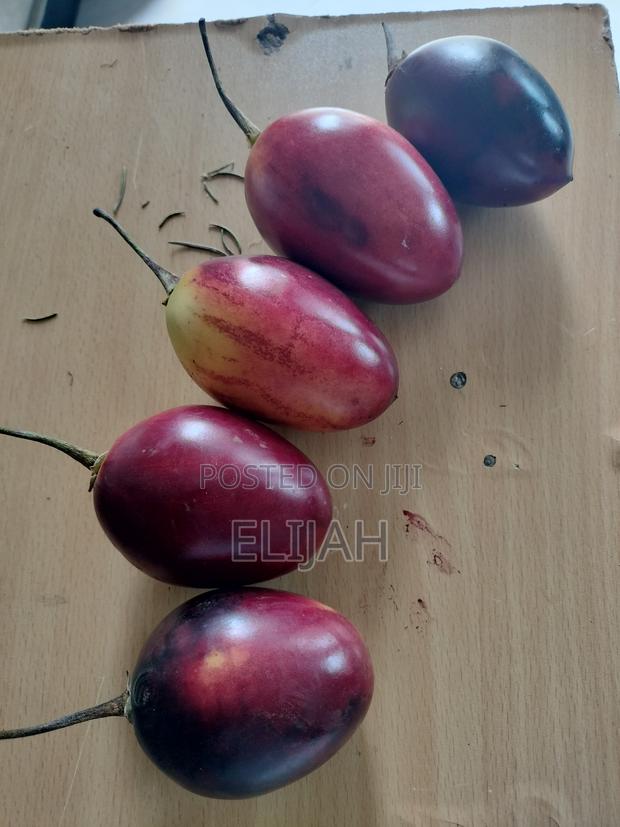 Tree Tomato Fruits - thumbnail 2