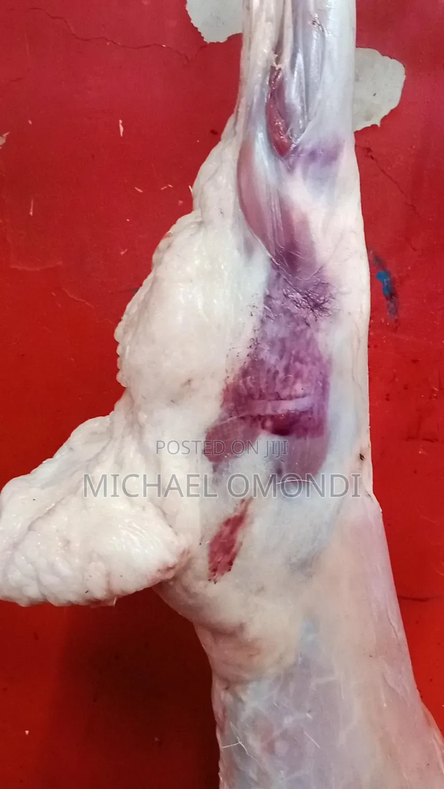 13kgs Mutton/Lamb - 8840