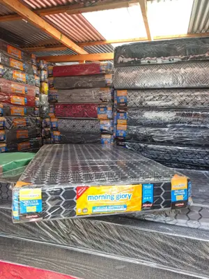 Morning Glory Long Lasting 3 by 6 Mattress,6 Inches