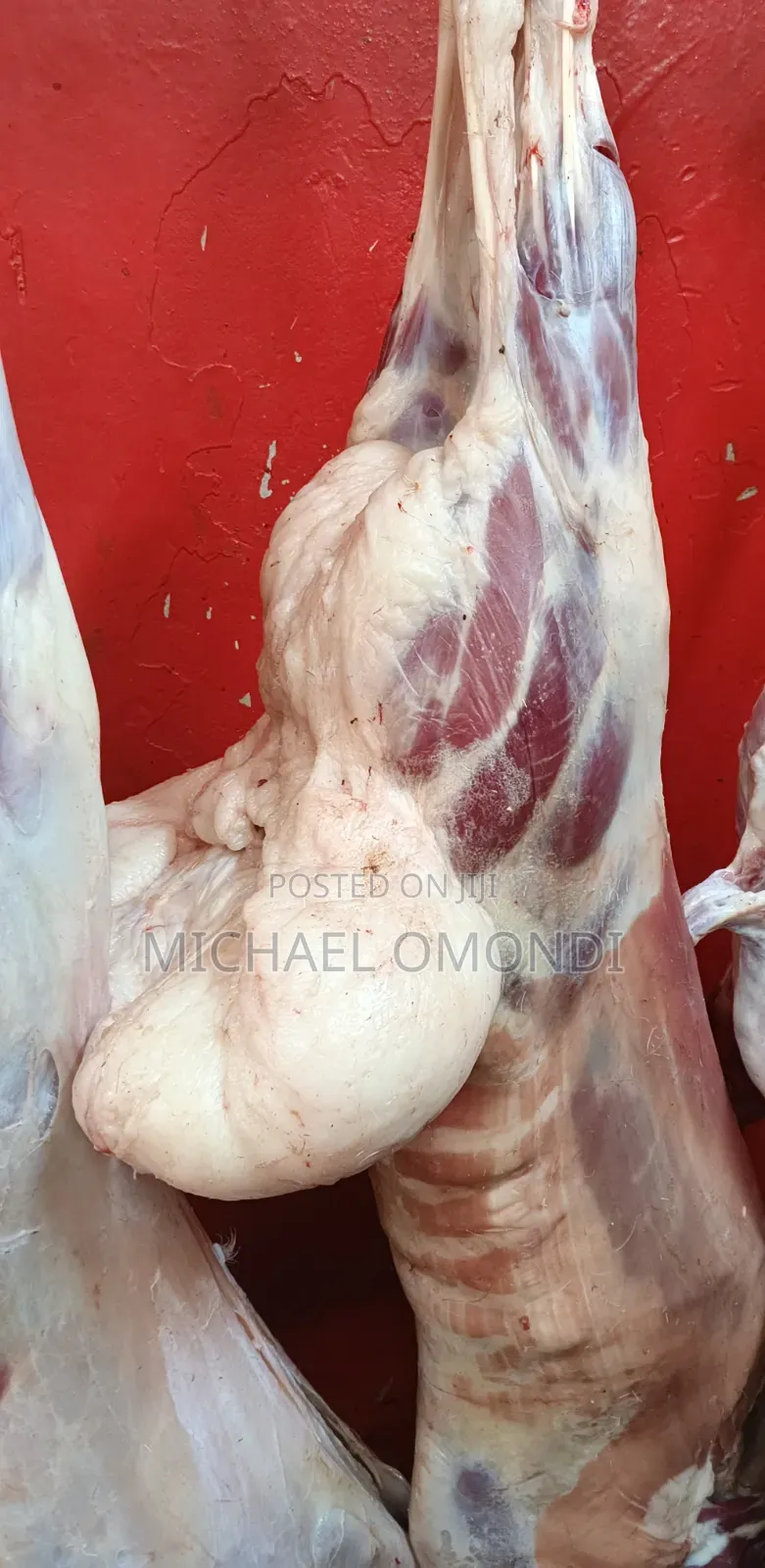 13kgs Mutton/Lamb - 8840