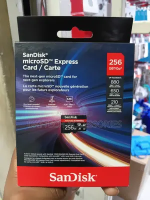 Sandisk Microsd Express Card - 256gb