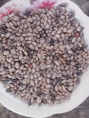 Fresh Zebra Beans