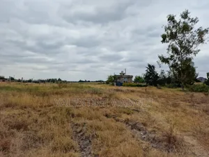 Residential Plots for Sale – Pazuri Court, Joska Muthwani