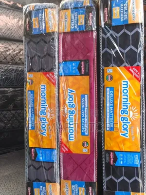 Morning Glory Reliable 6 Inch Mattress,3 by 6