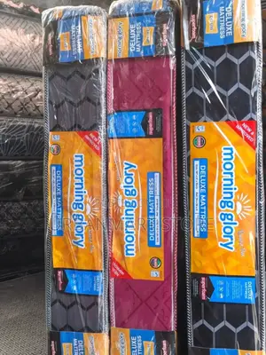 Morning Glory Reliable 6 Inch Mattress,3 by 6