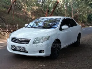Toyota Axio 2009 White