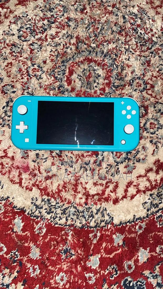 Nintendo Switch Lite
