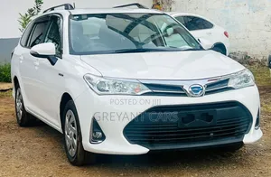 Toyota Corolla Fielder 2019 White