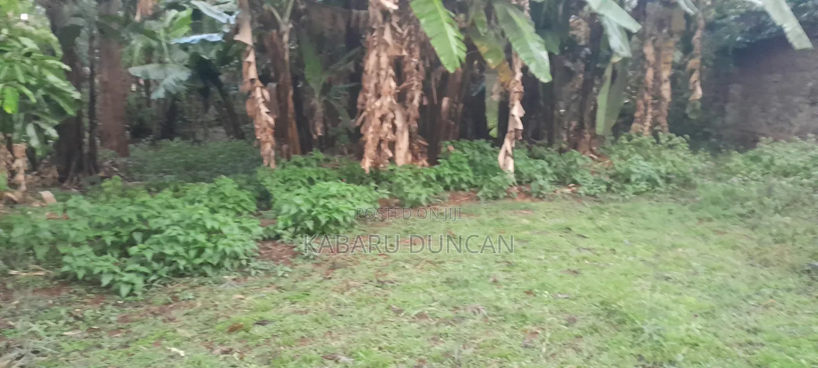 1/2acre Residential Property