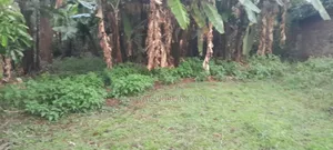 1/2acre Residential Property