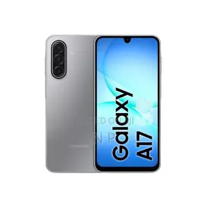 Samsung Galaxy A17 256 GB Gray