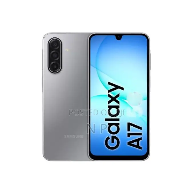 Samsung Galaxy A17 256 GB Gray