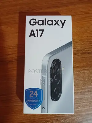 Samsung Galaxy A17 256 GB Gray