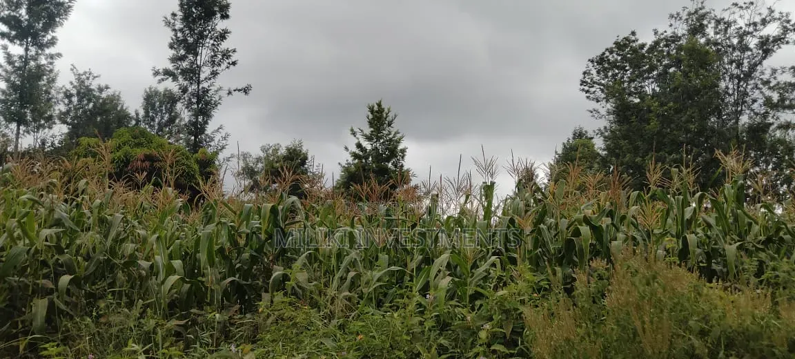 2 Acres in Sale at Muri -Kirinyaga