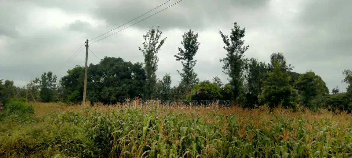 2 Acres in Sale at Muri -Kirinyaga