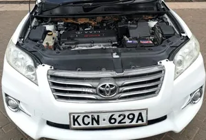 Toyota Vanguard 2010 White