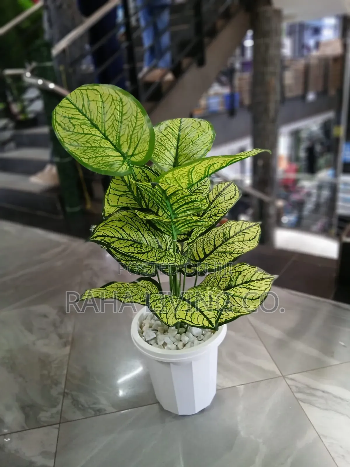 Artificial Plant With Vase Pebbles | With/Without Stand