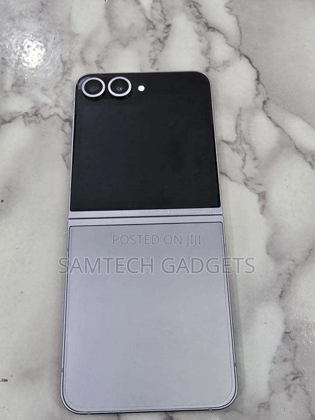 Samsung Galaxy Z Flip6 256 GB Gray