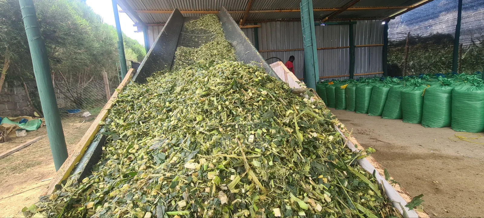 Box Bale Silage