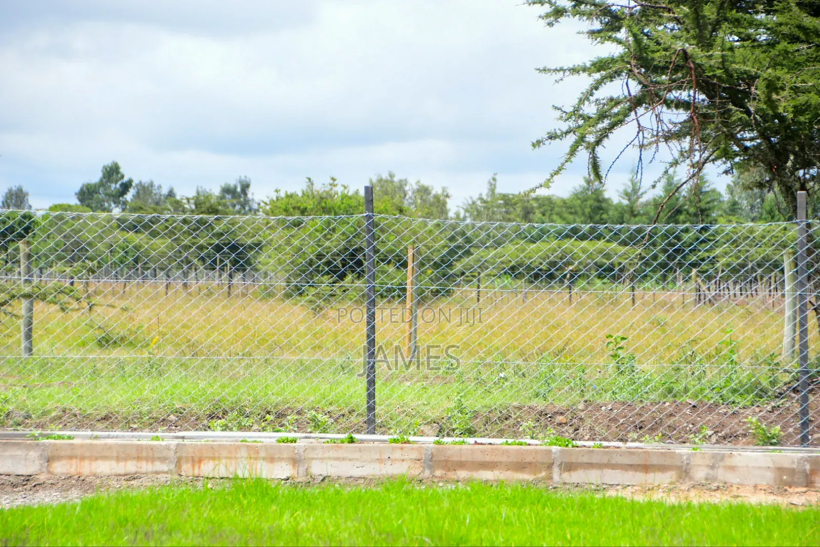 Famyard Enterprises LTD