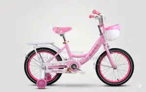 Lady Bird Pinky Size 16 Bicycle
