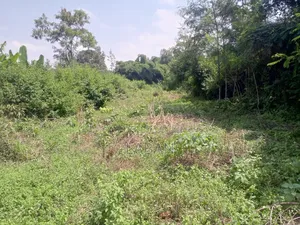 Mugumo Kamiti Rd 1/2
