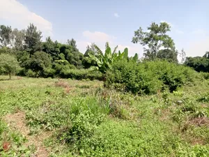 Mugumo Kamiti Rd 1/2