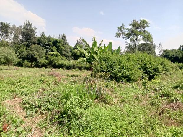 Mugumo Kamiti Rd 1/2 - thumbnail 3