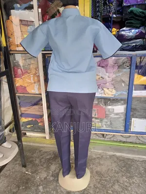 Professional Cleaners Wear