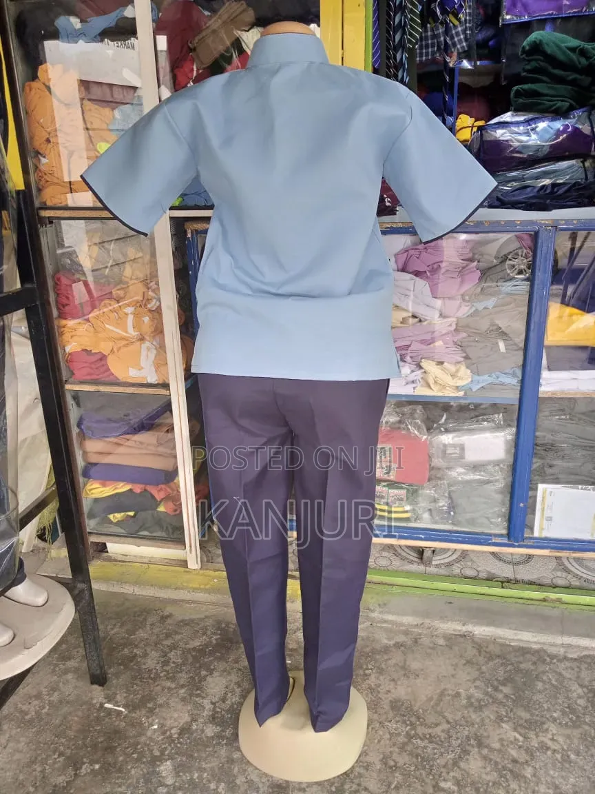 Professional Cleaners Wear