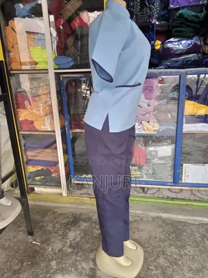 Professional Cleaners Wear