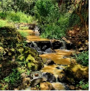 Ps-1509-Prme 5 Ac (Freehold Land at Nanyuki)