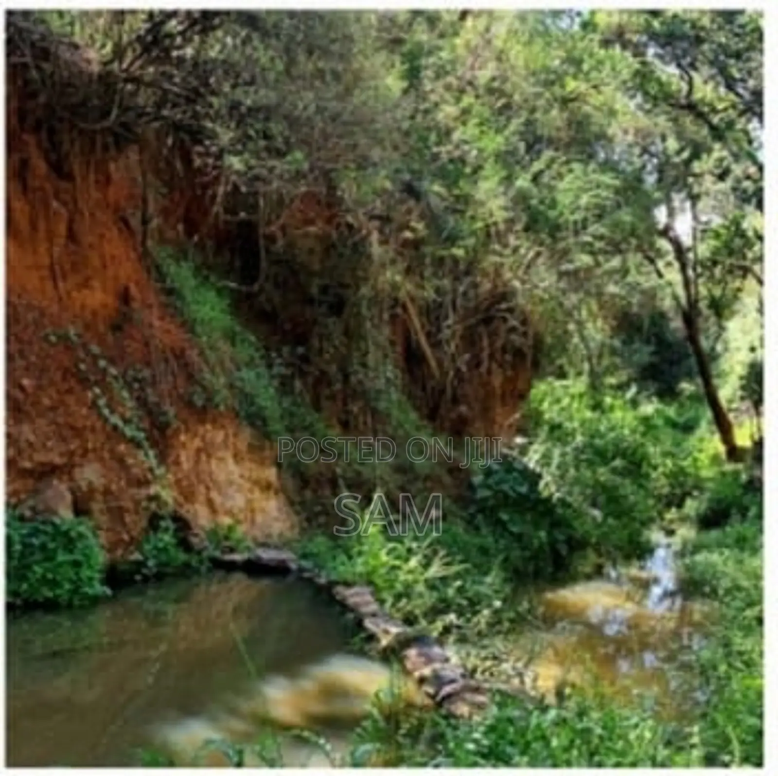 Ps-1509-Prme 5 Ac (Freehold Land at Nanyuki)
