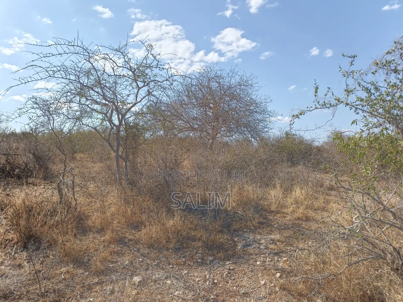 Land for Sale