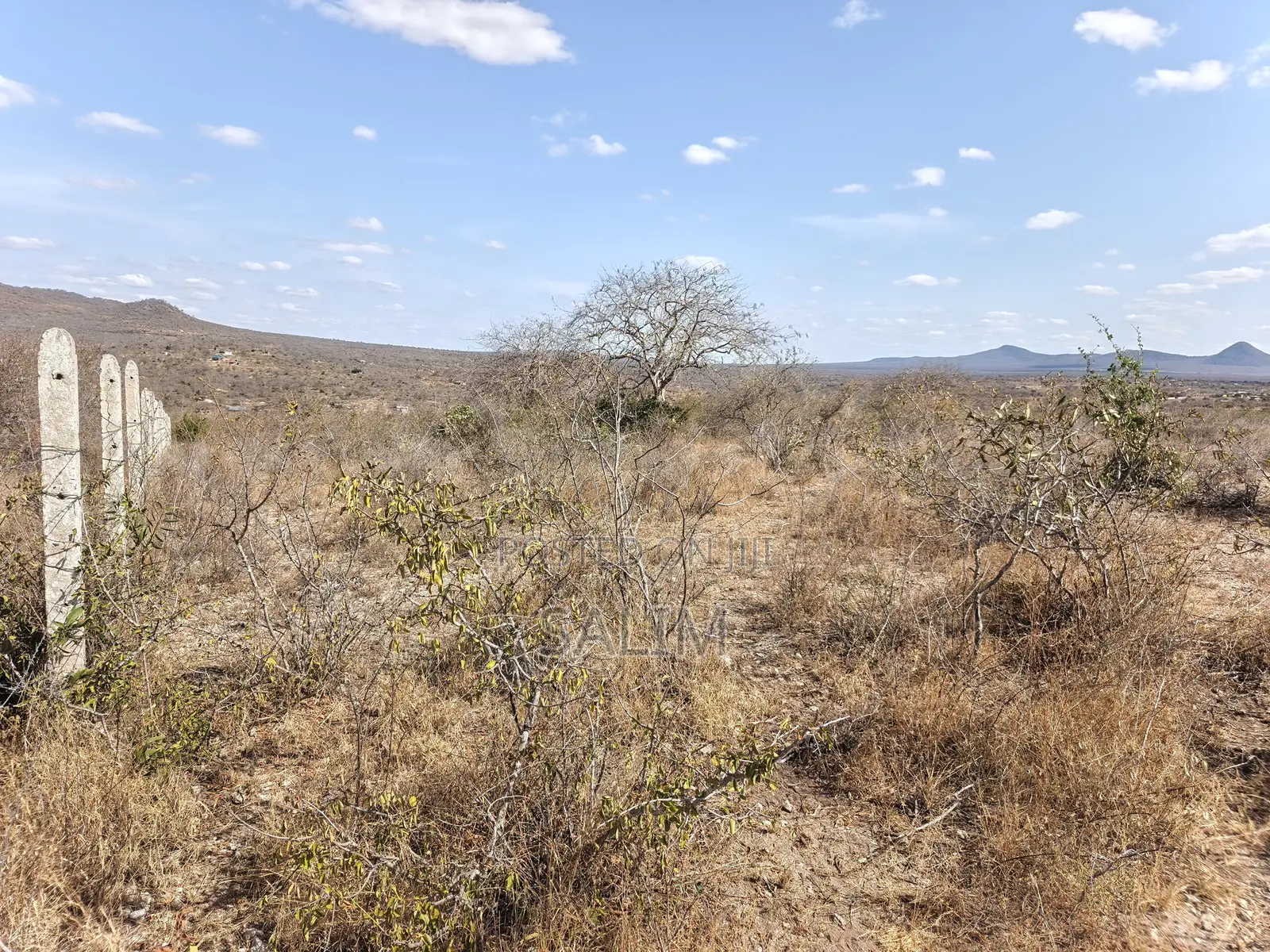 Land for Sale