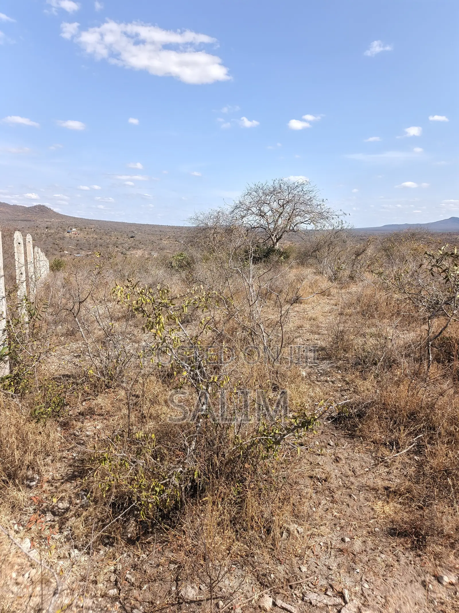 Land for Sale