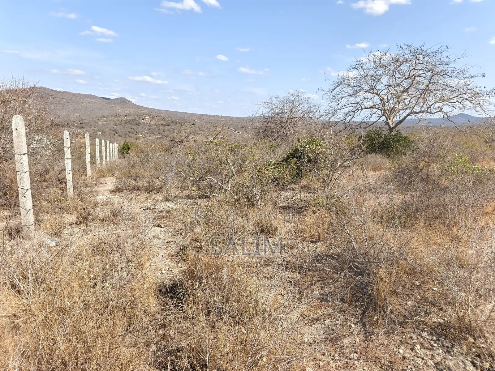 Land for Sale