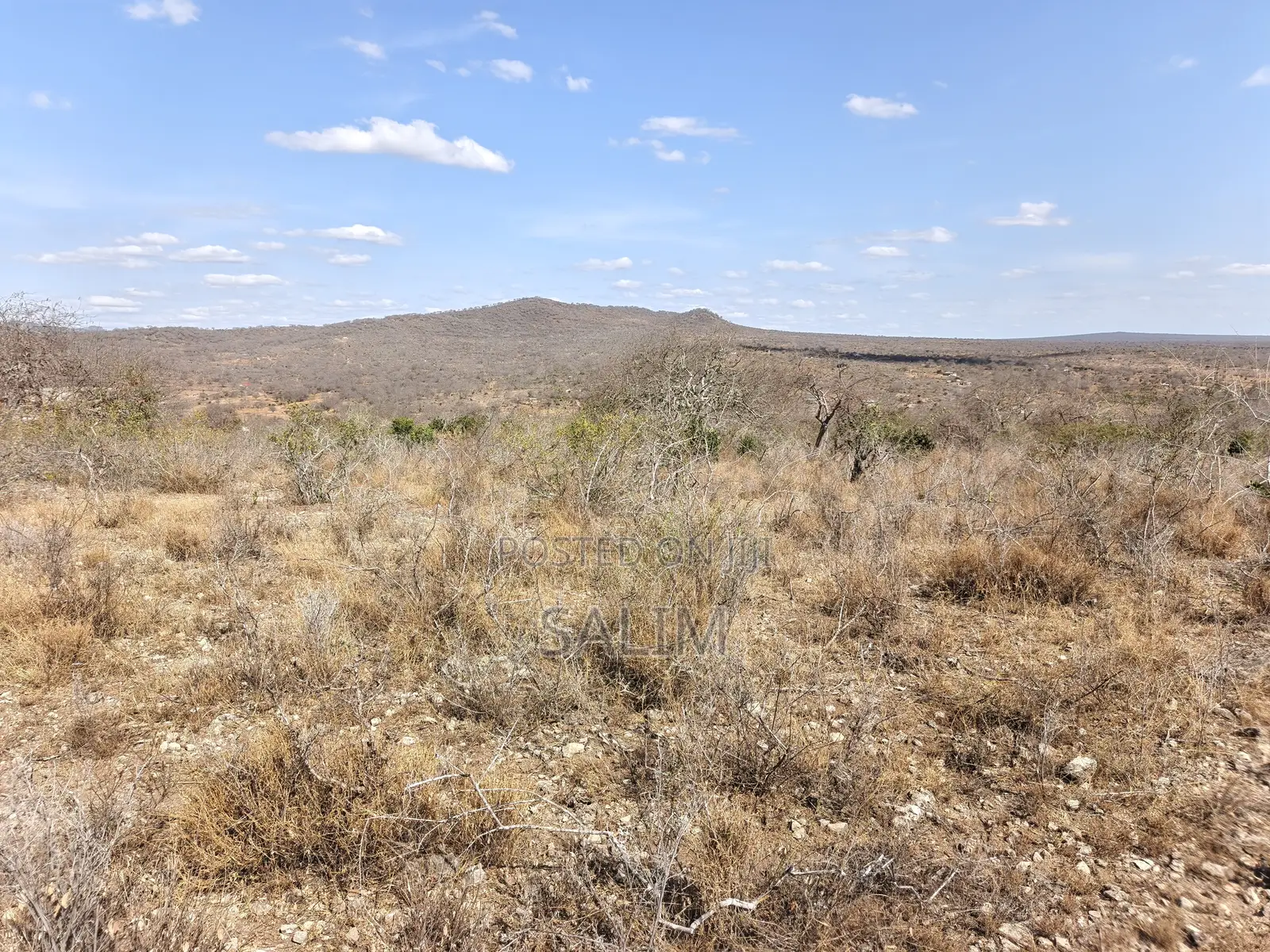 Land for Sale