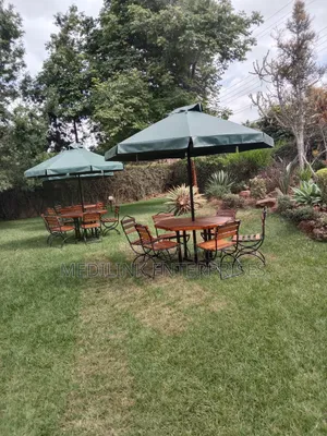 Ma3n Type of an Hotels/Home Outdoor Umbrella Shades