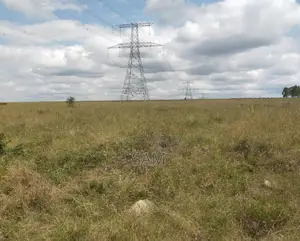 Ps-1588-50*100 Plot-Juja Farm