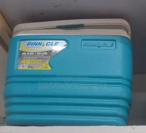 Ice Cooler 10ltrs