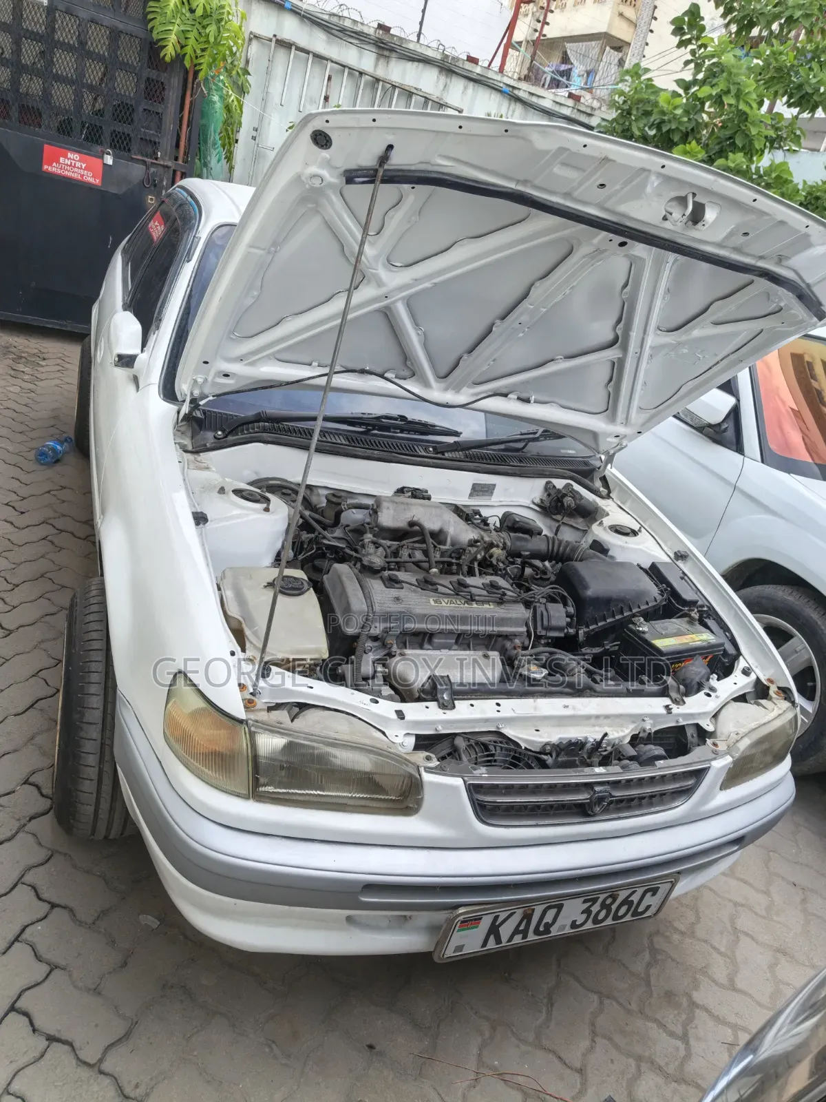Toyota Corolla 2005 White